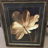 27.5"x33.5" Floral Framed