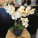 Faux Orchid Arrangement