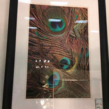 Framed Peacock Feather Print