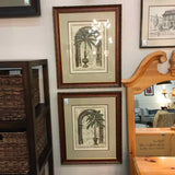 Framed Botanical Art