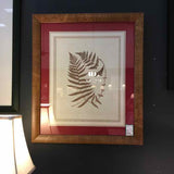 Dried Fern Botanical