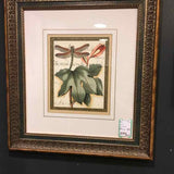 Framed Petite Dragonflies