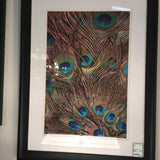 Framed Peacock Feather Print