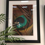 Framed Peacock Feather Print