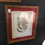 Dried Fern & Flower Botanical