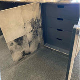 Bernhardt "Espinoza" Console